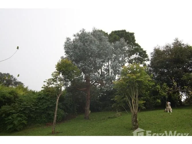 3 Bedroom House for Sale in Vasquez De Coronado, San Jose for $280,000 — photo 4