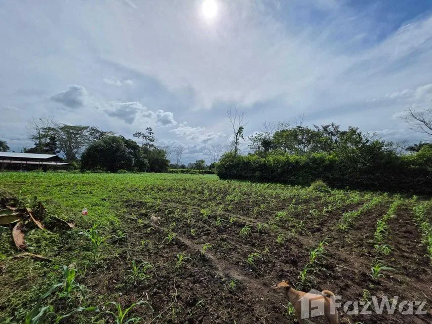 Land for Sale at Limón for $70,635