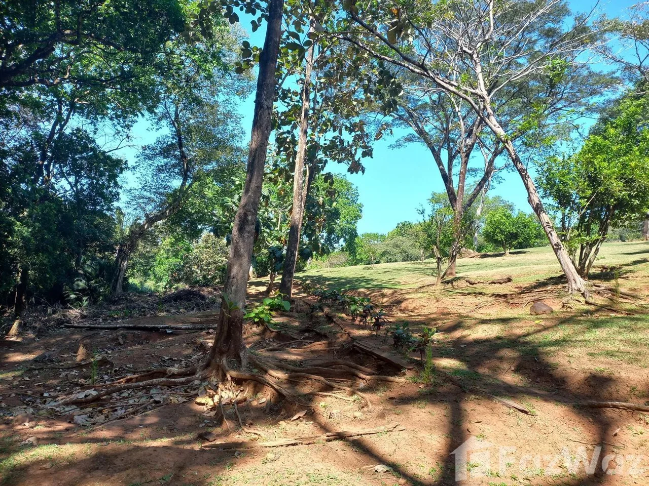Land for Sale in Turrubares, San Jose for $180,000 — photo 5