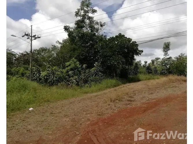 Land for Sale in Perez Zeledon, San Jose for $2,173,464 — photo 2