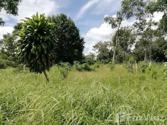 Land for Sale in Perez Zeledon, San Jose for $2,173,464 — photo 3