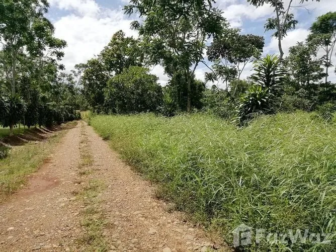Land for Sale in Perez Zeledon, San Jose for $2,173,464 — photo 4