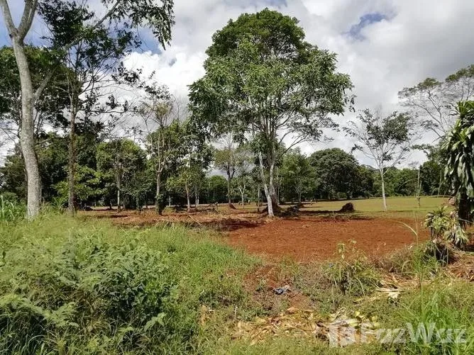 Land for Sale in Perez Zeledon, San Jose for $2,173,464 — photo 5