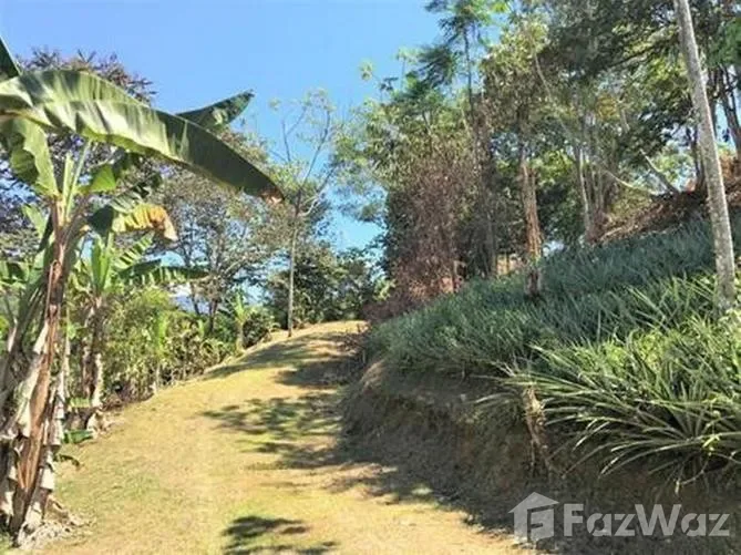 Land for Sale at Ojochal for $55,000