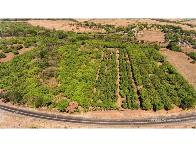 Land for Sale in Orotina, Alajuela for $600,000