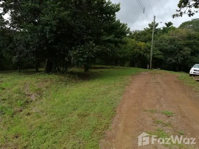 Land for Sale in Santa Cruz, Guanacaste for $31,500