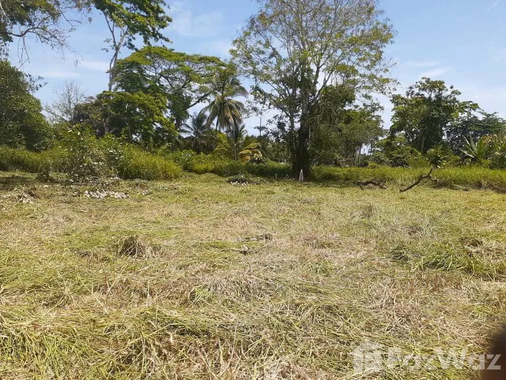 Land for Sale in Limon, Limon for $22,000