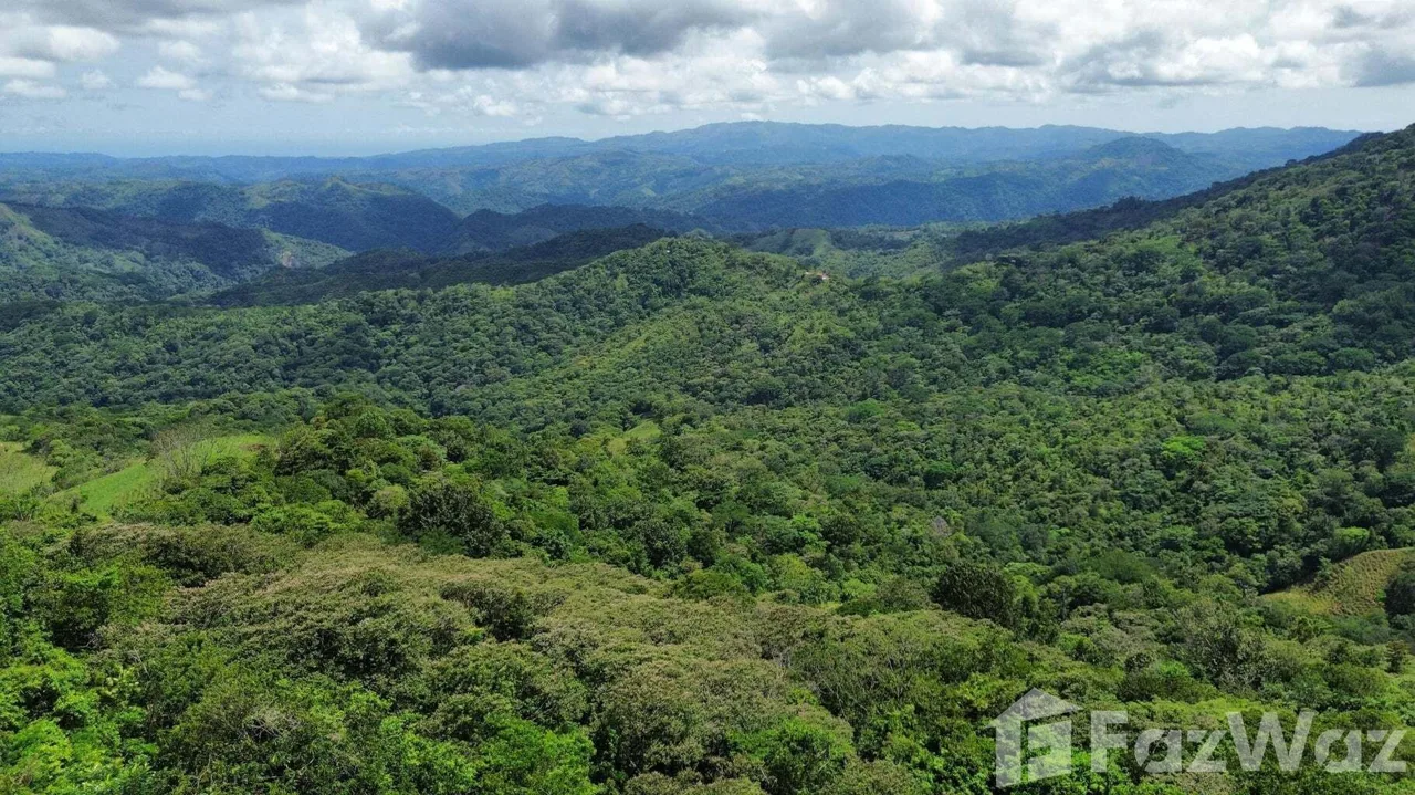 Land for Sale at SAN JOSE for $140,000 — photo 4