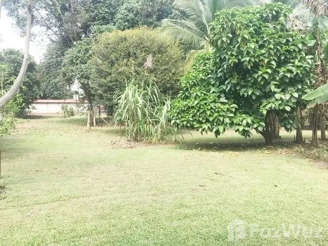 Land for Sale in Mora, San Jose for $378,000