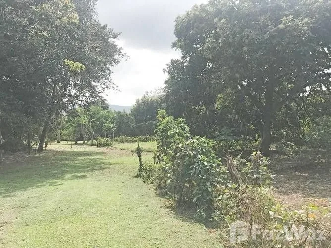 Land for Sale in Mora, San Jose for $378,000 — photo 3