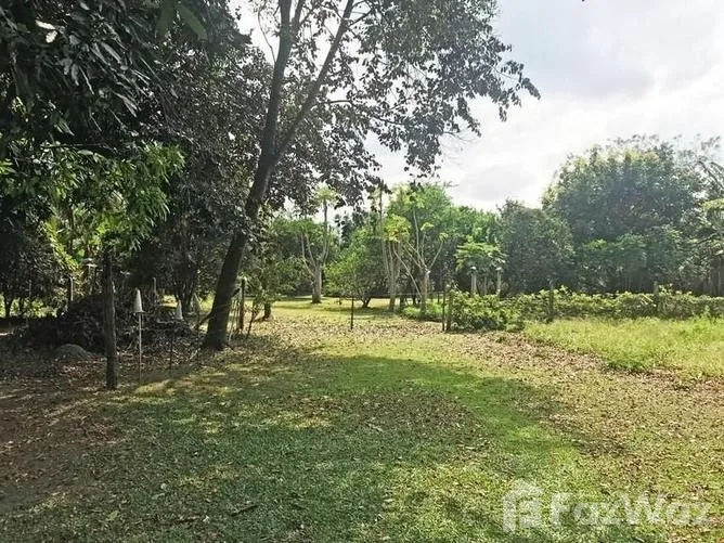 Land for Sale in Mora, San Jose for $378,000 — photo 5