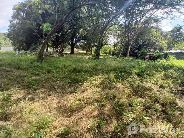 Land for Sale at La Cruz Guanacaste El Jobo for $45,000