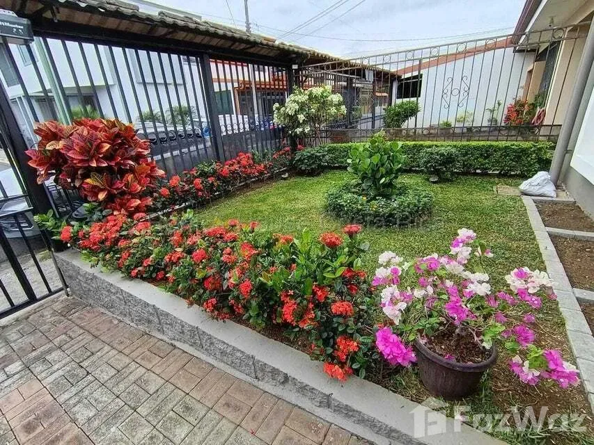 2 Bedroom House for Rent at Apartment For Sale in Ulloa for $1,315/mo
