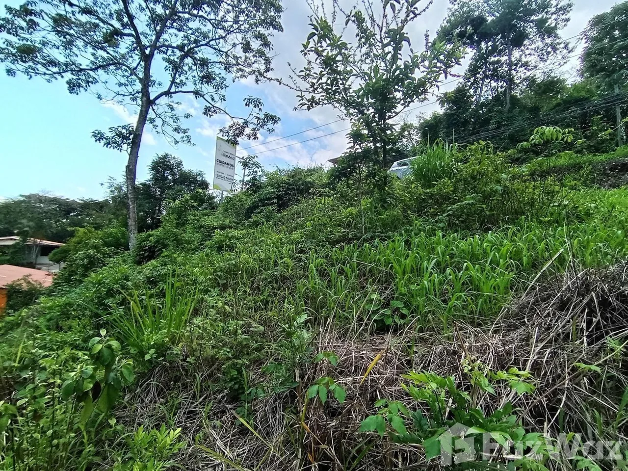 Land for Sale in Mora, San Jose for $186,700 — photo 4