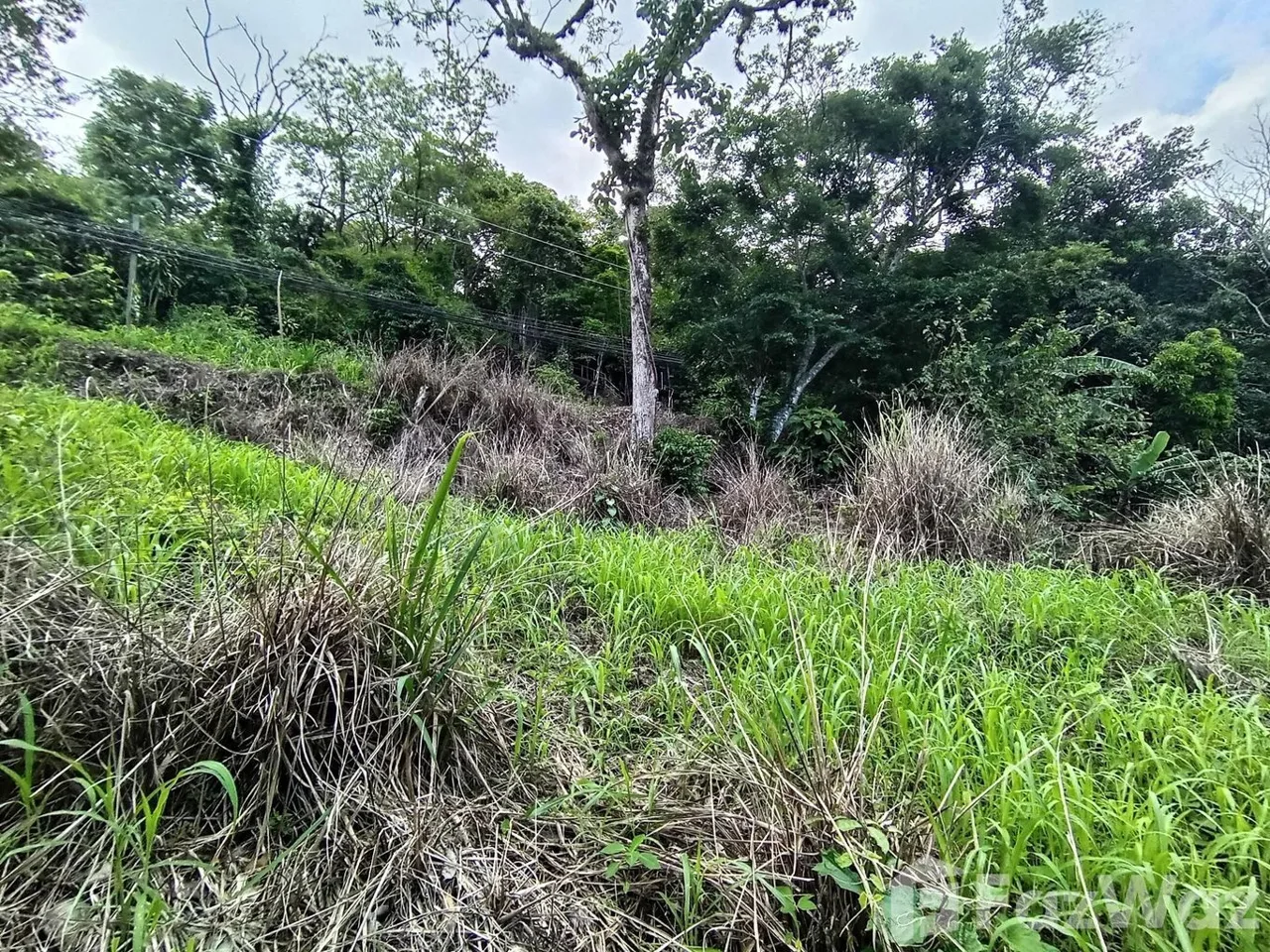 Land for Sale in Mora, San Jose for $186,700 — photo 5