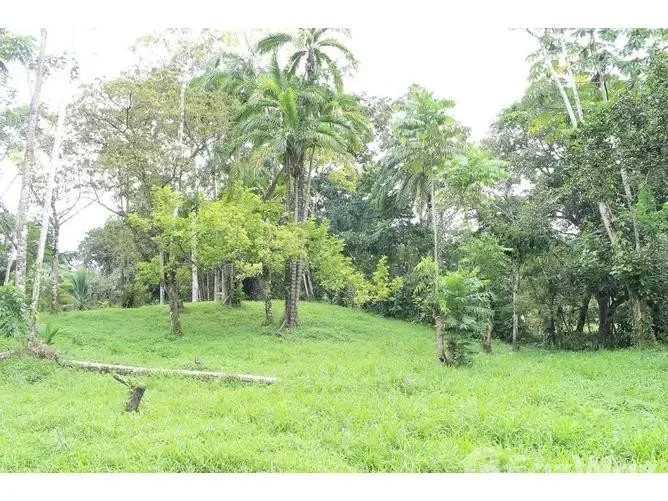 Land for Sale in Limon, Limon for $52,000