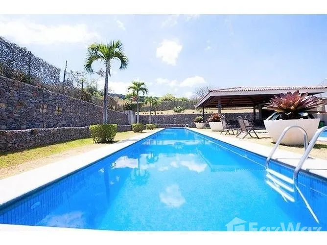 3 Bedroom Apartment for Rent at Modern Apartament for Rent with Appliances Brasil de Santa Ana Piedades for $1,305/mo