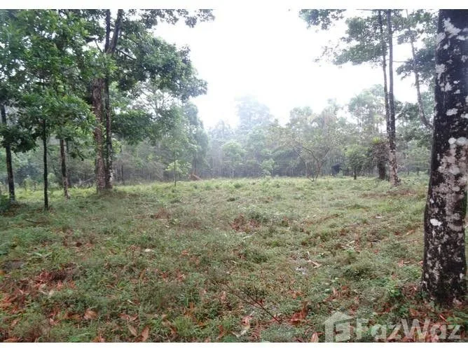 Land for Sale in Pococi, Limon for $357,000