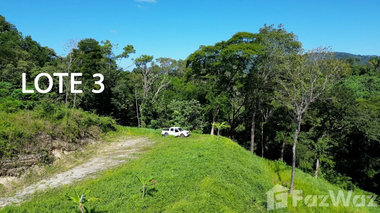 Land for Sale in Carrillo, Guanacaste for $115,000