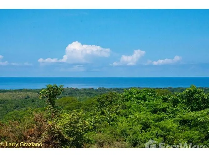 Land for Sale in Santa Cruz, Guanacaste for $100,000