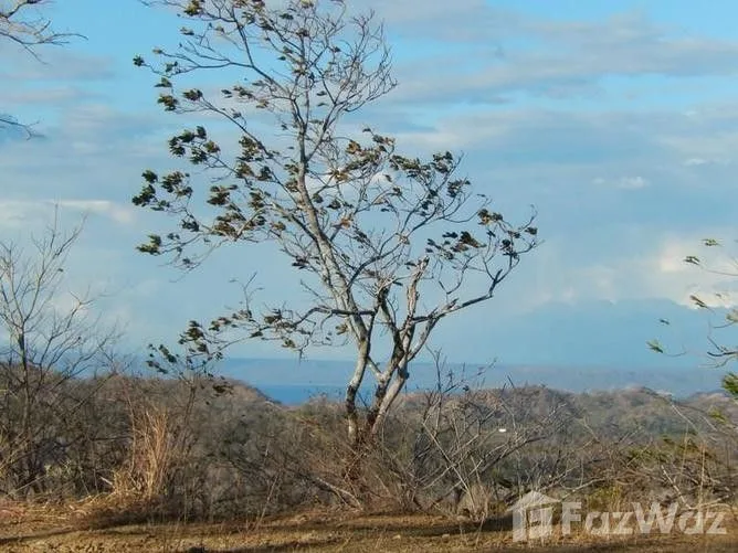Land for Sale in Santa Cruz, Guanacaste for $82,000