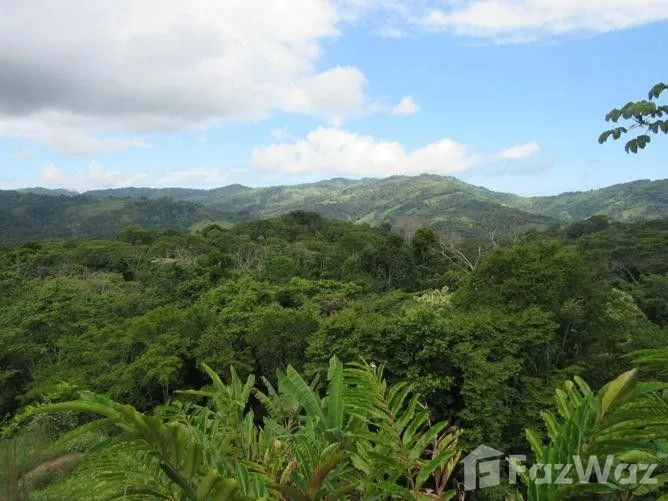 Land for Sale in Aguirre, Puntarenas for $89,000