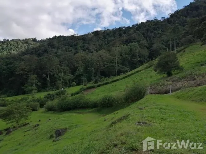 Land for Sale in Turrialba, Cartago for $42,252