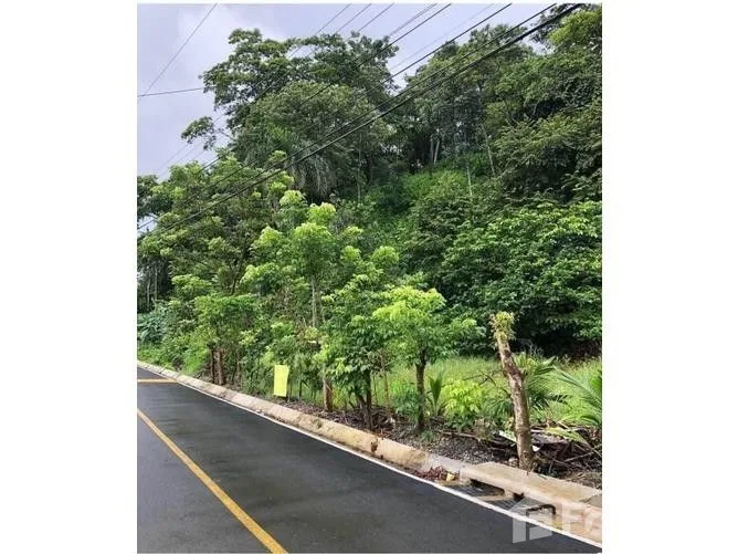 Land for Sale in Aguirre, Puntarenas for $569,000