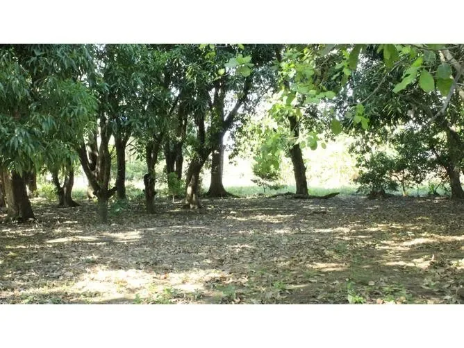 Land for Sale in Santa Cruz, Guanacaste for $69,000