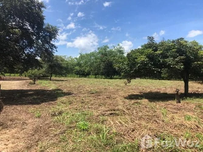 Land for Sale at Liberia for $270,000