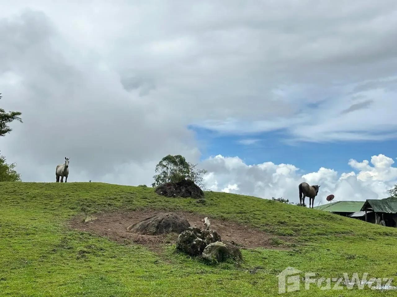 Land for Sale in Perez Zeledon, San Jose for $600,000 — photo 3