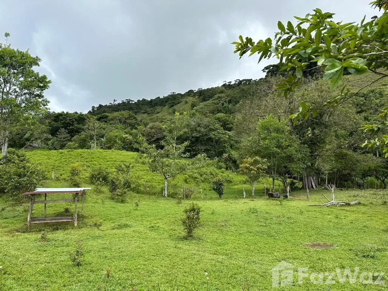 Land for Sale in Perez Zeledon, San Jose for $600,000 — photo 4
