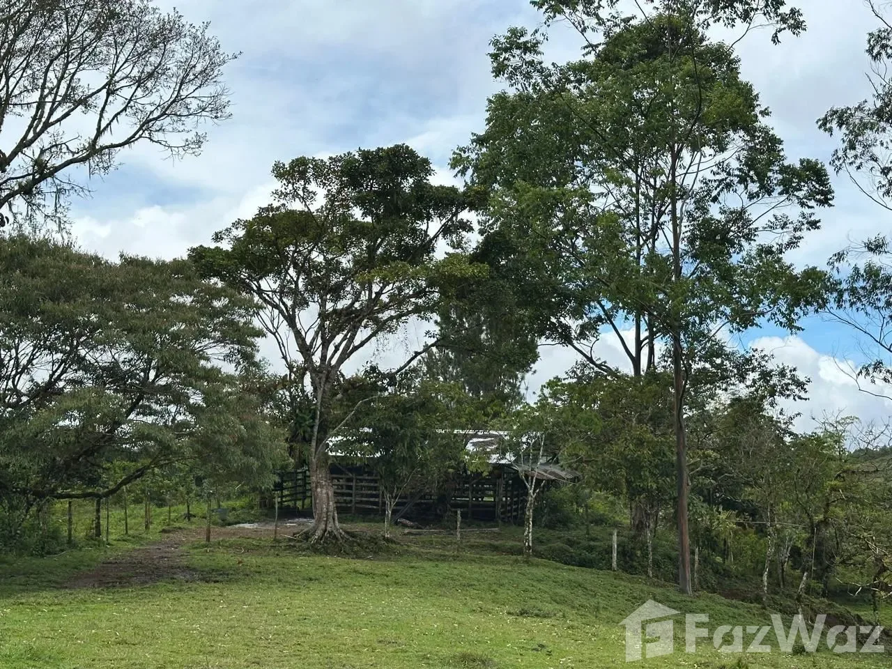 Land for Sale in Perez Zeledon, San Jose for $600,000 — photo 5