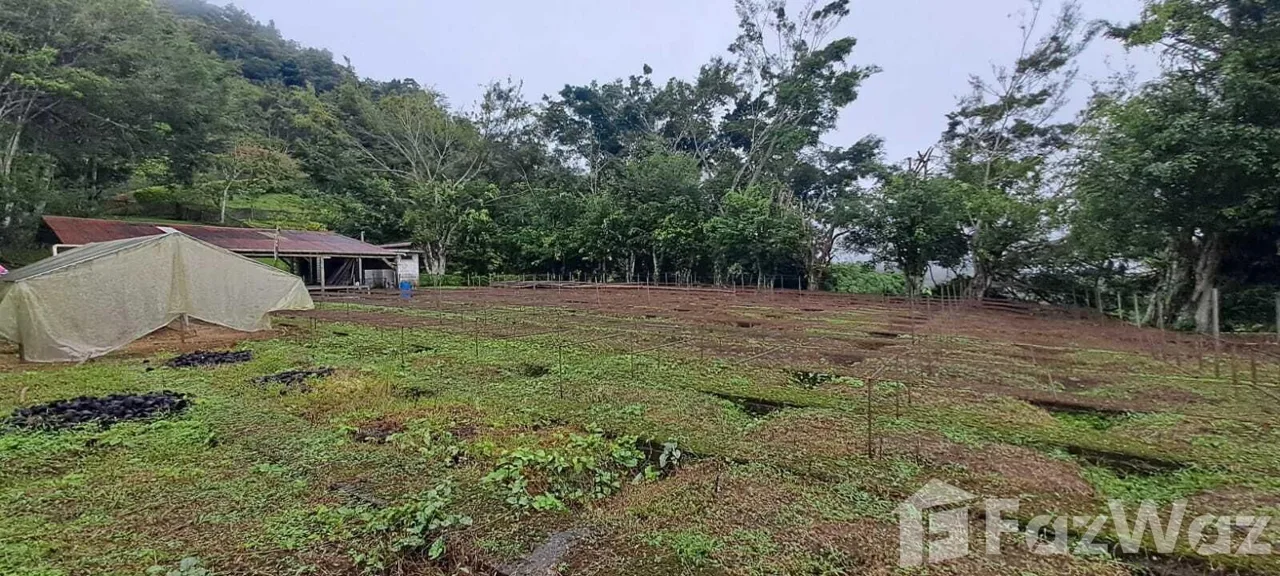 Land for Sale in Turrialba, Cartago for $350,000