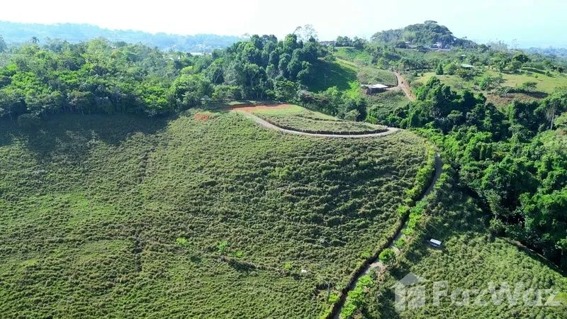 Land for Sale in Perez Zeledon, San Jose for $425,000 — photo 4