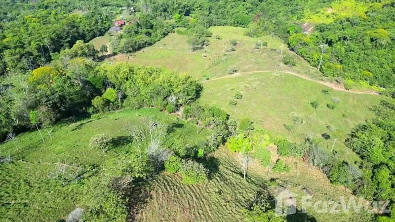 Land for Sale in Perez Zeledon, San Jose for $425,000 — photo 5