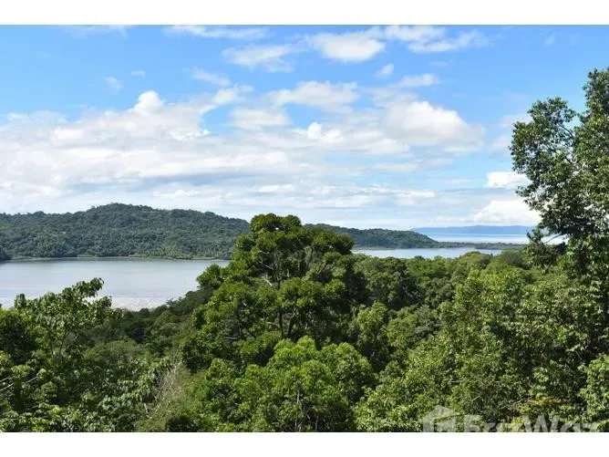 Land for Sale in Golfito, Puntarenas for $270,000