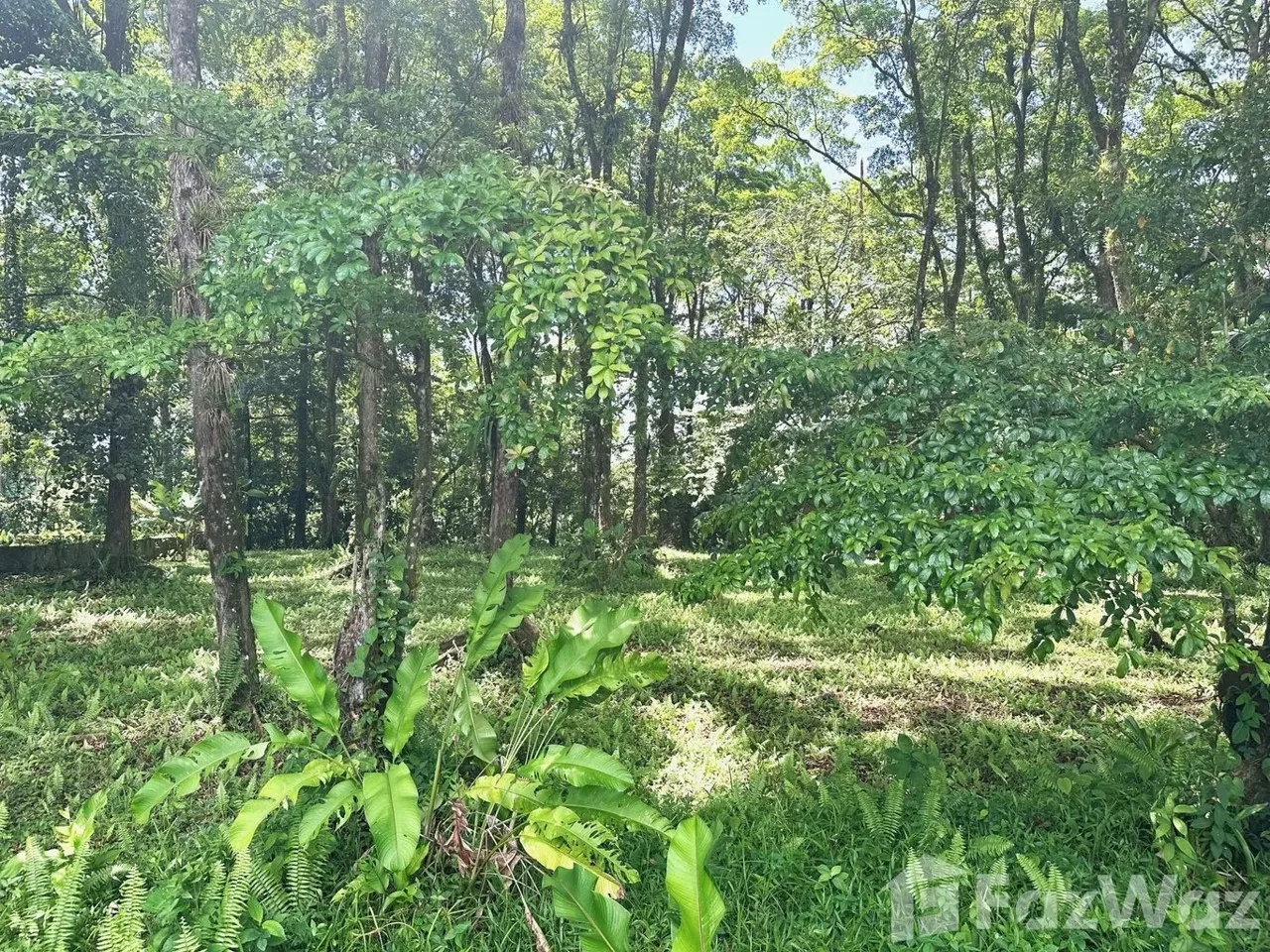 Land for Sale at Lagunilla Heredia for $350,000 — photo 3
