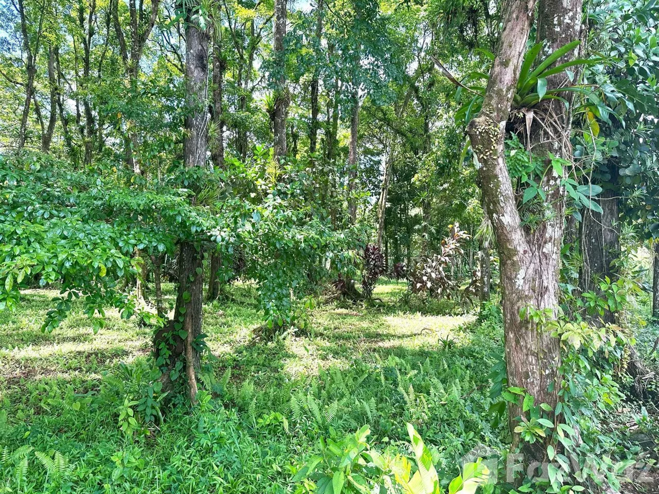 Land for Sale at Lagunilla Heredia for $350,000 — photo 5