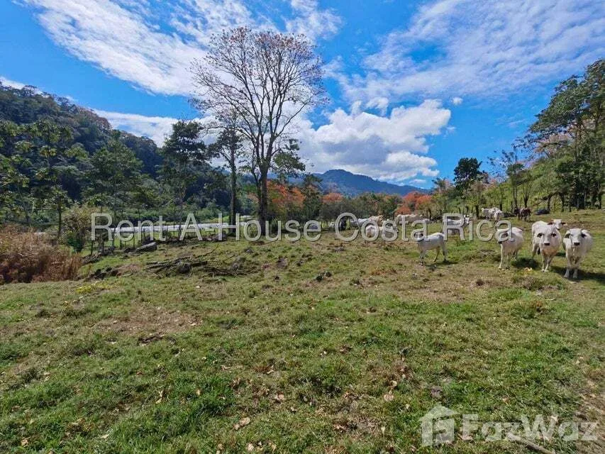 Land for Sale at Condominium For Sale in Cartago for $3,500,000