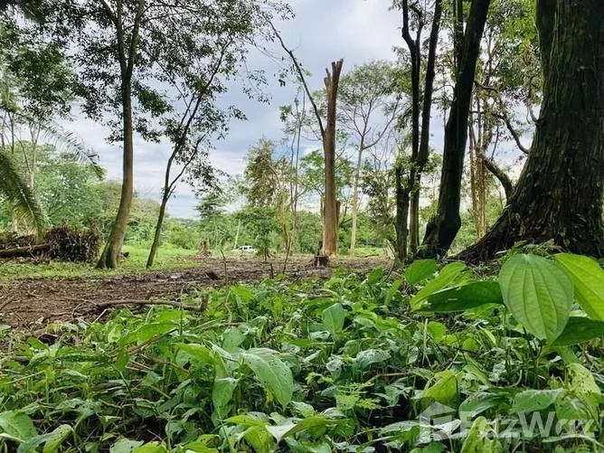 Land for Sale in Osa, Puntarenas for $108,000