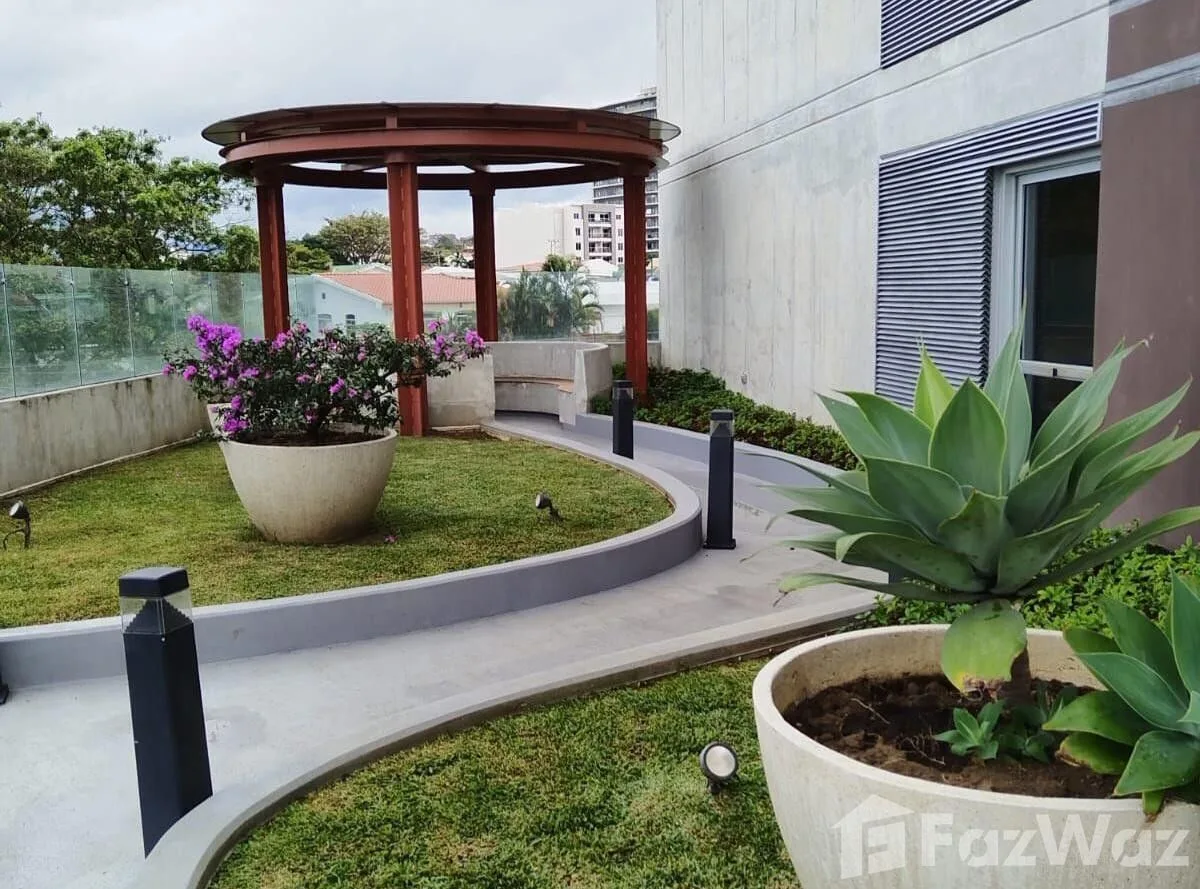 1 Bedroom Apartment for Rent at SAN JOSE for $1,100/mo — photo 5