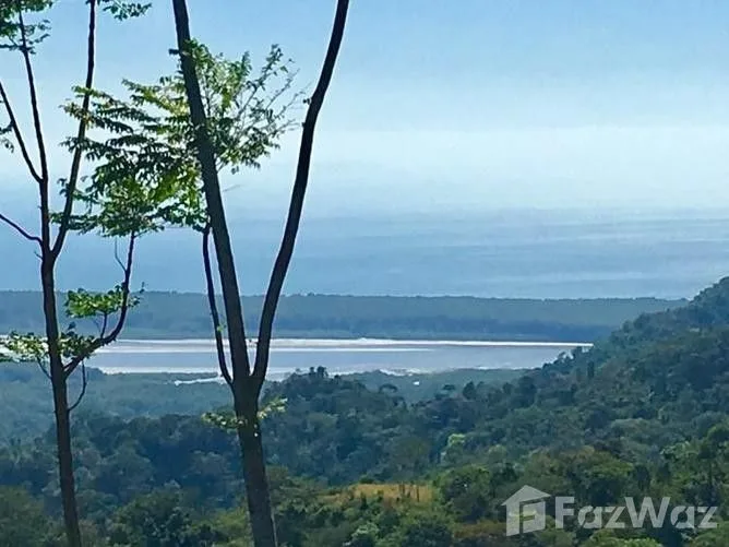 Land for Sale in Osa, Puntarenas for $159,000