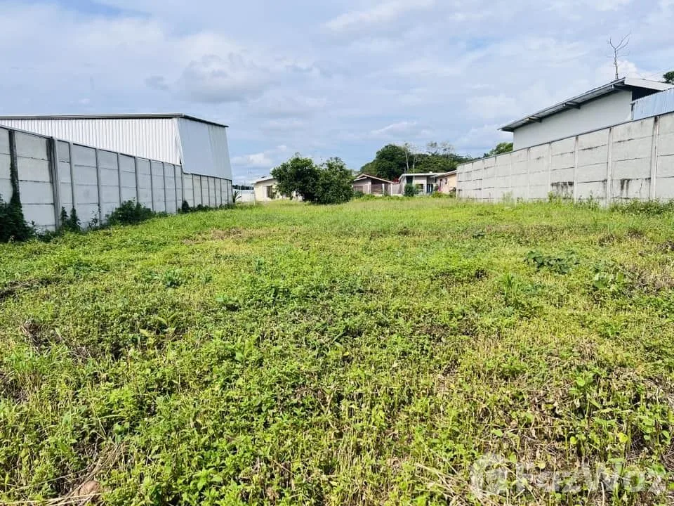 Land for Sale in Pococi, Limon for $37,400