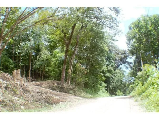 Land for Sale in Nicoya, Guanacaste for $45,000