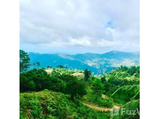 Land for Sale at Uvita for $700,000