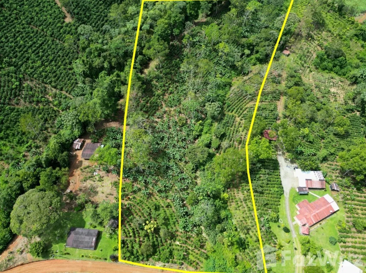 Land for Sale in Perez Zeledon, San Jose for $150,000