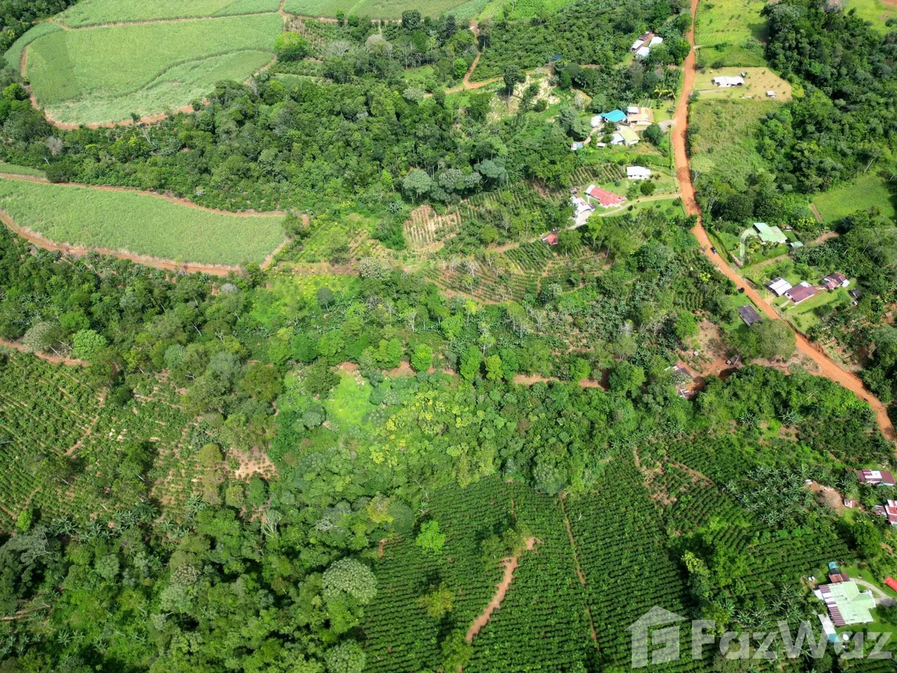 Land for Sale in Perez Zeledon, San Jose for $150,000 — photo 2