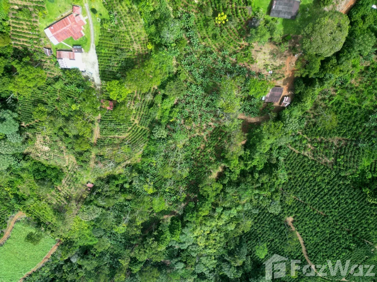 Land for Sale in Perez Zeledon, San Jose for $150,000 — photo 3