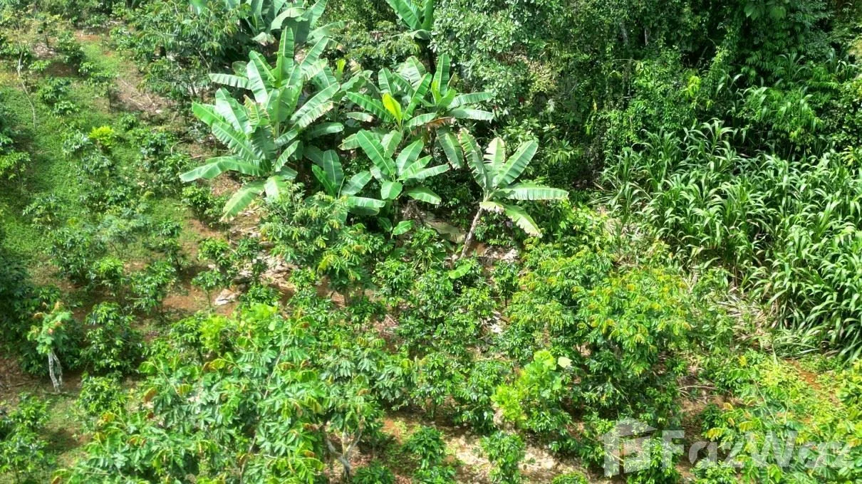 Land for Sale in Perez Zeledon, San Jose for $150,000 — photo 4